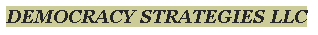 Text Box: Democracy Strategies LLC
